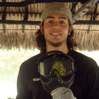 Ballitic Designer: Gino Romano