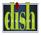 Dish Magazine